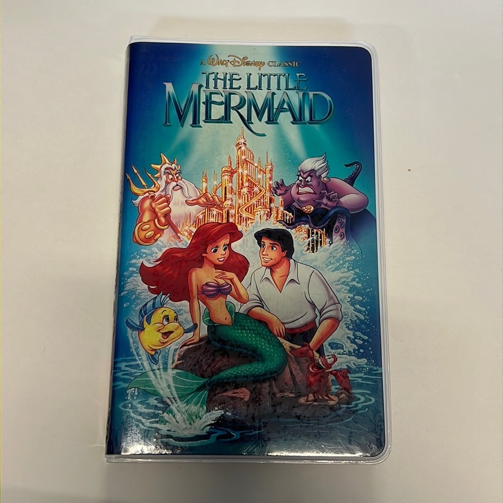 The little mermaid notebook